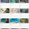 Global Gallery - WordPress Responsive Gallery - Image 7