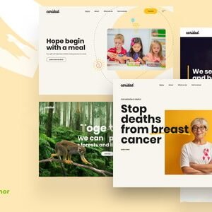 Caridad – Charity WordPress Theme