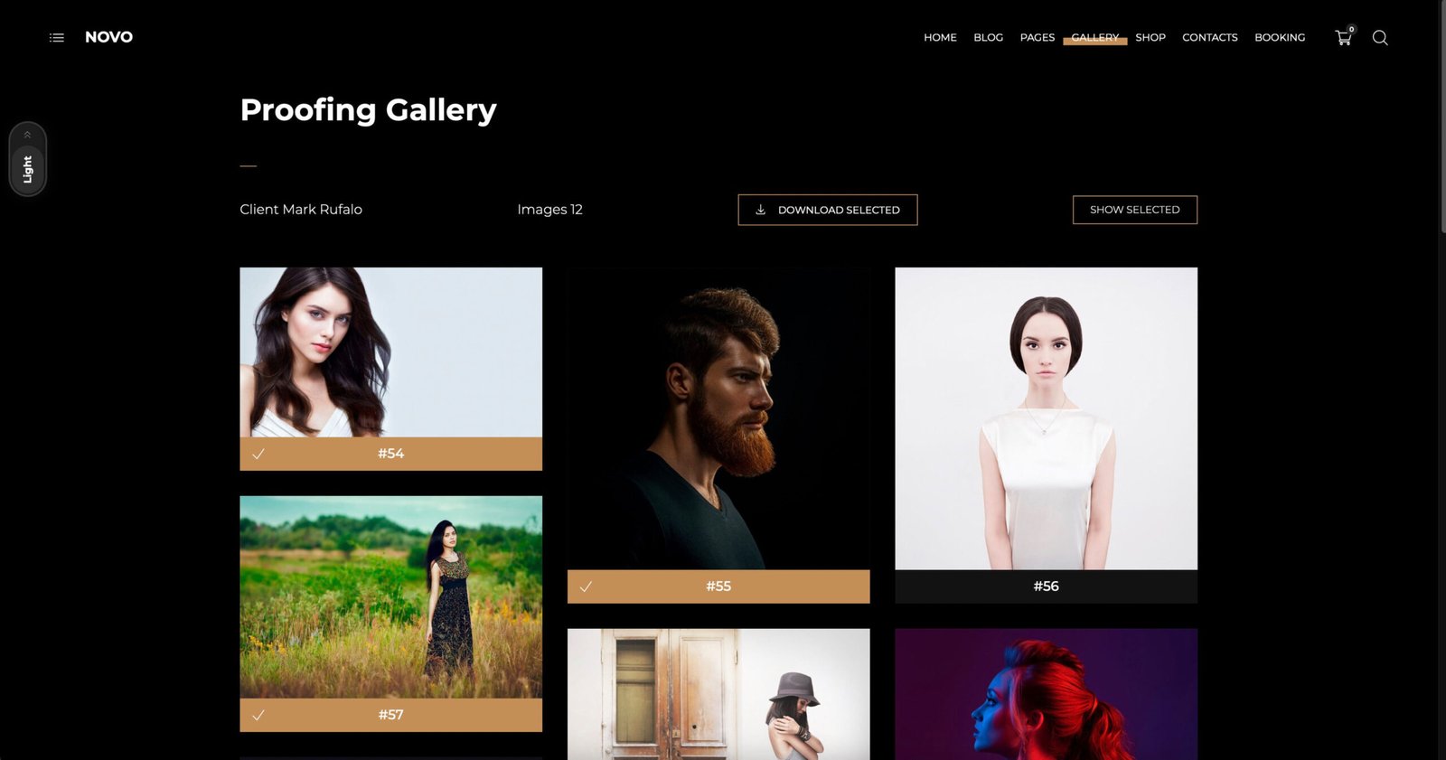 Novo - Photography WordPress - Image 4