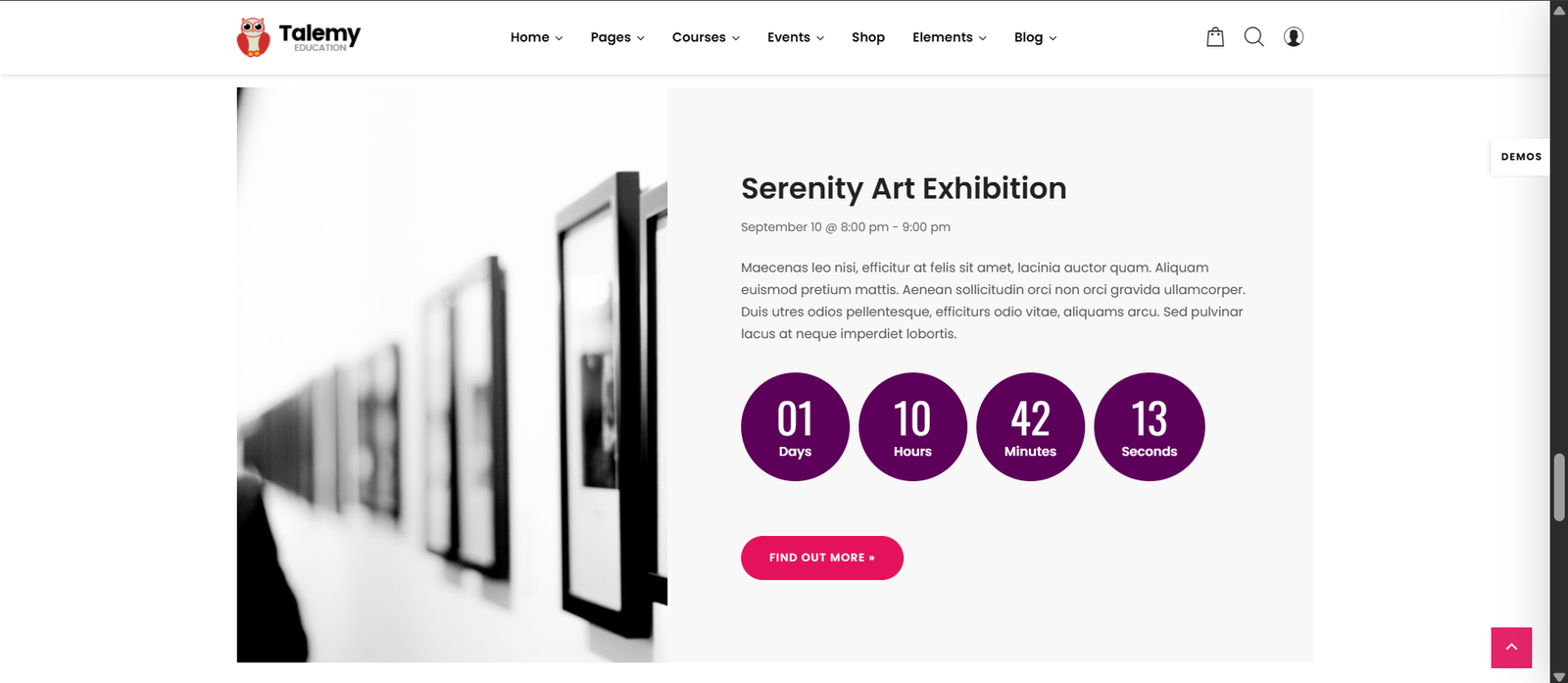 Talemy - LMS Education WordPress Theme - Image 6