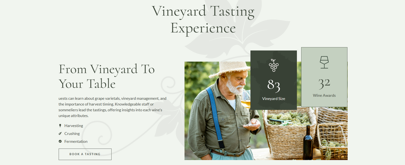 Vintneri – Wine Shop and Winery Elementor Pro Template Kit - Image 3