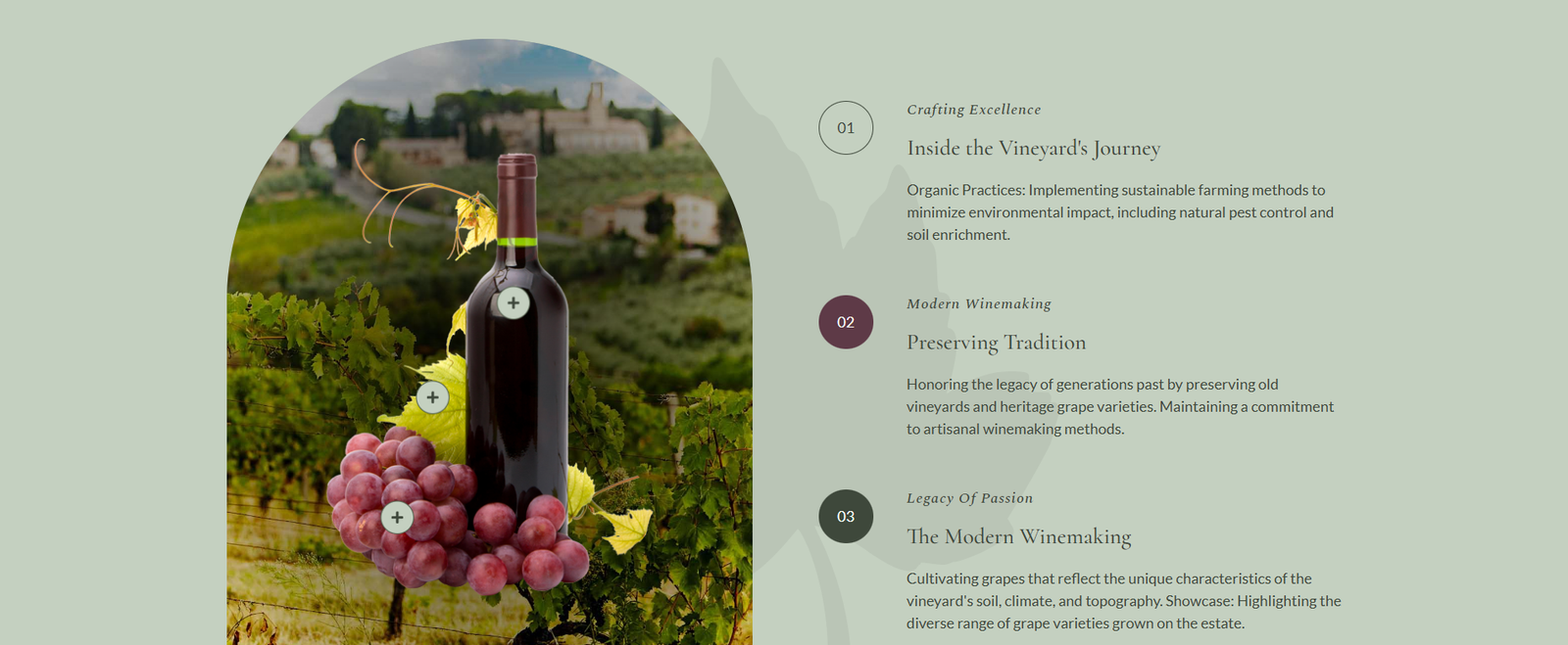 Vintneri – Wine Shop and Winery Elementor Pro Template Kit - Image 5