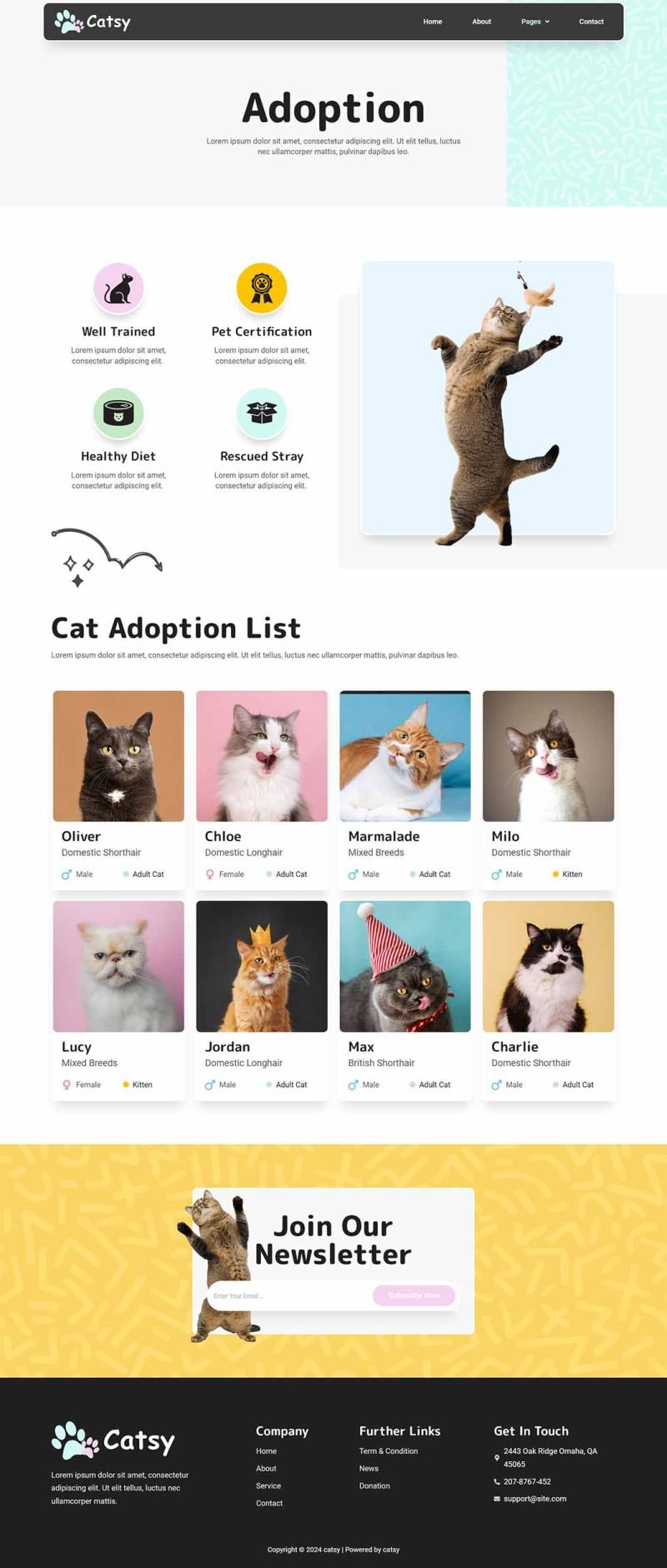 Catsy – Cat Rescue and Shelter Elementor Template Kit - Image 3