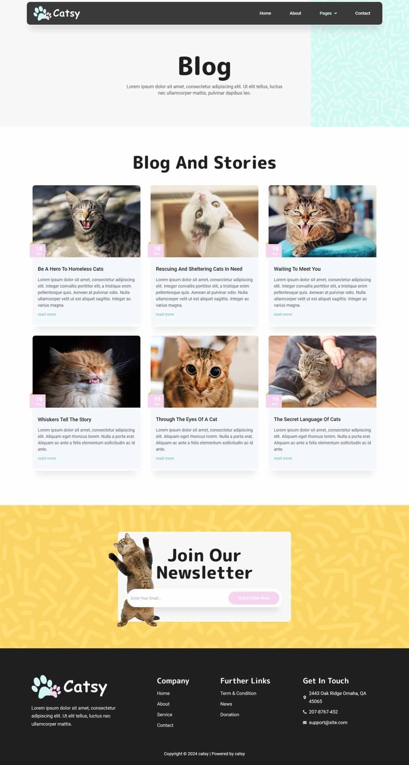 Catsy – Cat Rescue and Shelter Elementor Template Kit - Image 4