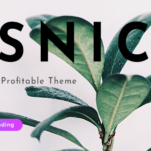 Osnic – Adsense WordPress Theme